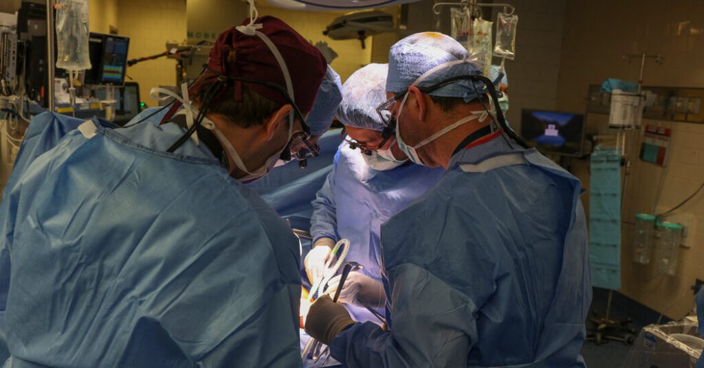 Surgeon Transplants Pig Kidney Into Patient, Medical Breakthrough