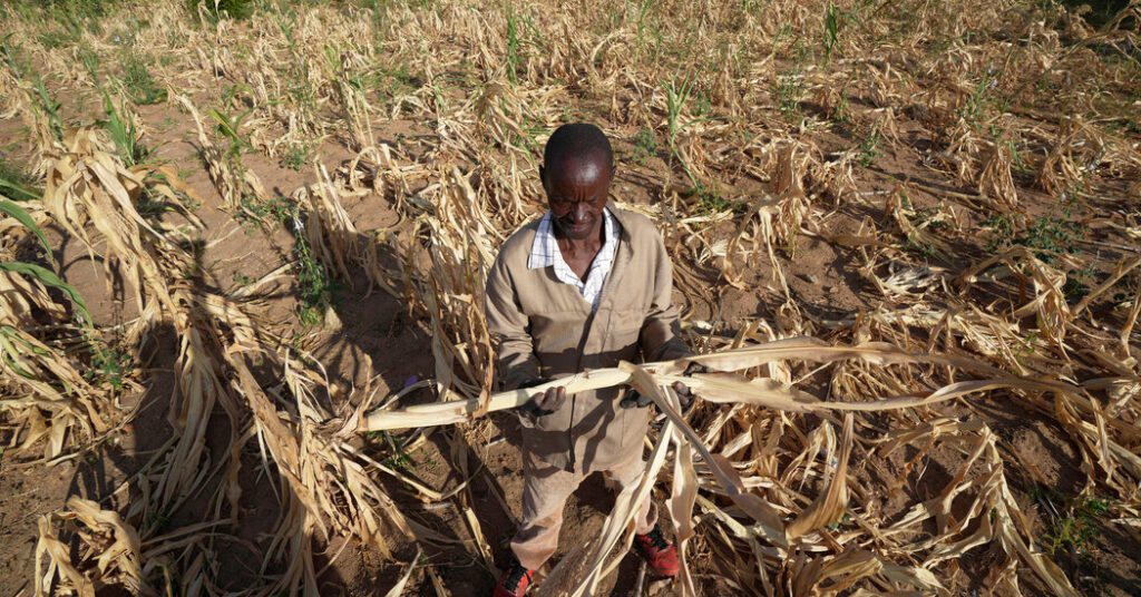 Drought Pushes Millions Into 'severe Hunger' In Southern Africa