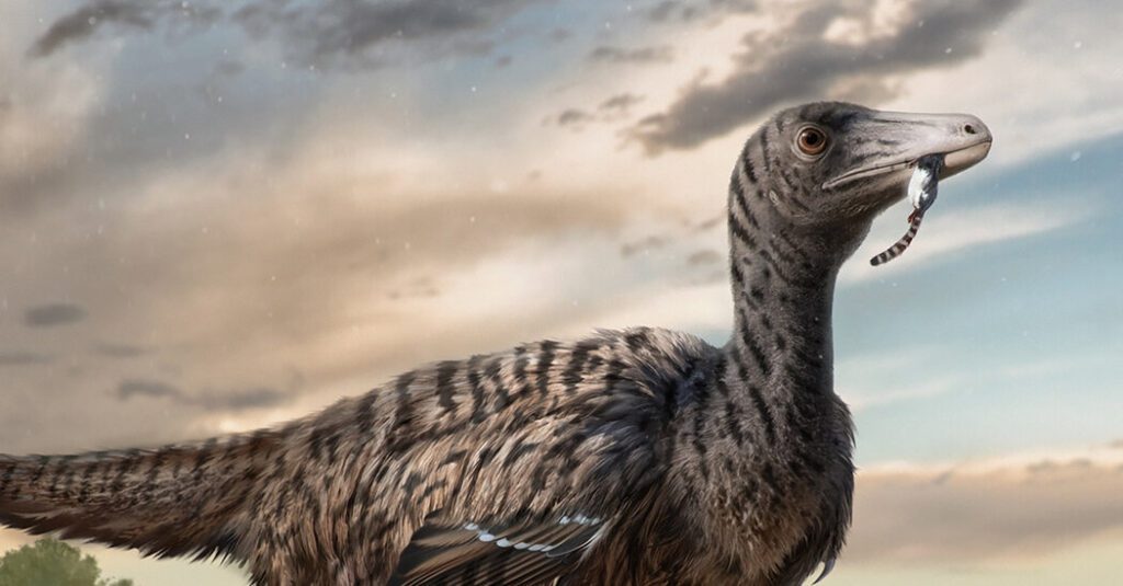 Megaraptor Emerges From Fossilized Footprints, Research Suggests