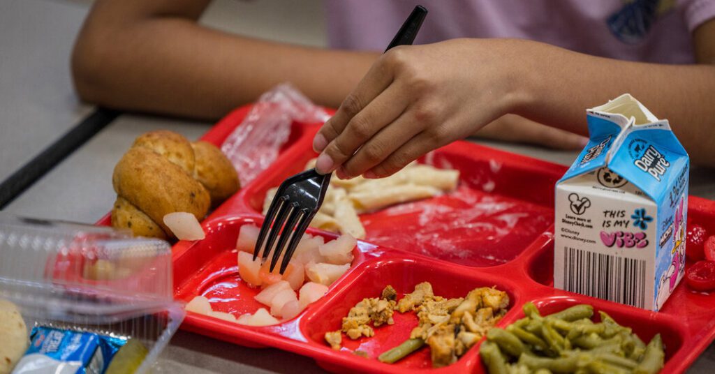 New Nutritional Guidelines Cut Sugar And Salt From School Lunch