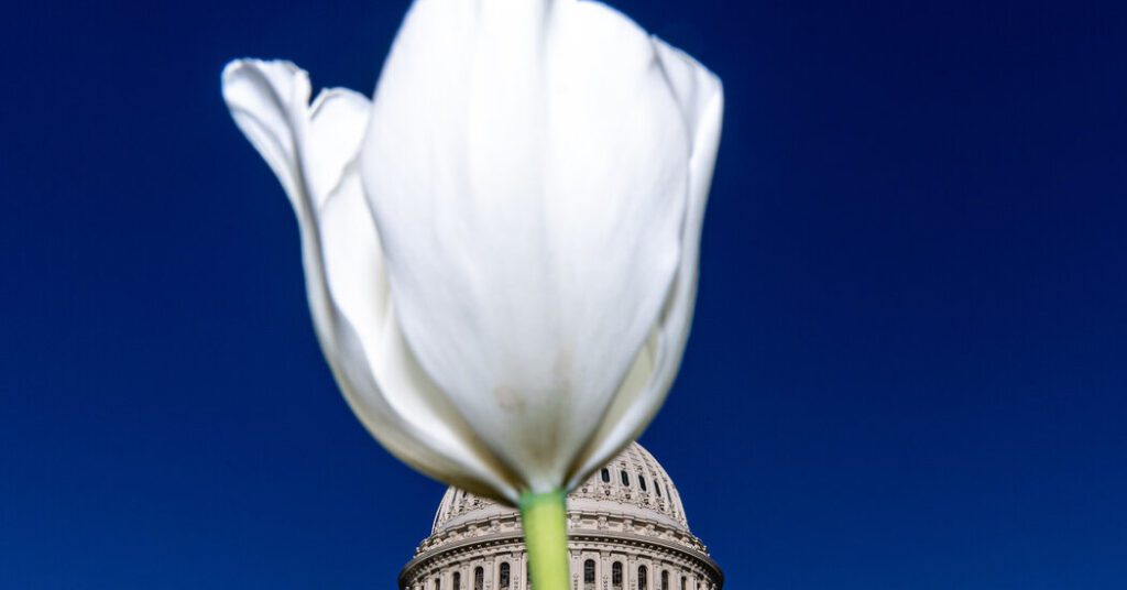 Opinion | Concrete reasons not to completely panic Opinion | Concrete Reasons Not To Completely Panic