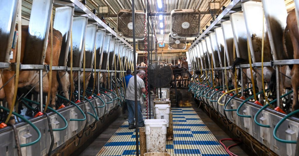 Federal Test Confirms Pasteurized Dairy Products Do Not Contain Live
