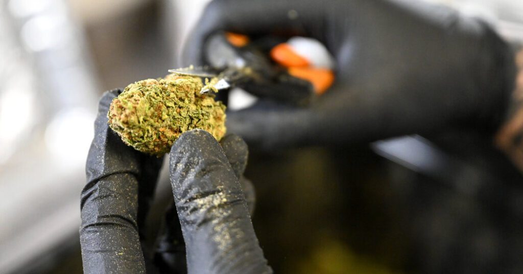 The United States classifies marijuana as a Schedule III drug. Here's what that means: The United States Classifies Marijuana As A Schedule Iii Drug.