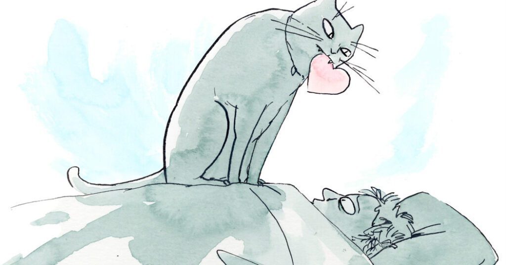A Cat Scientist Explains Why Your Cat Might Actually Like