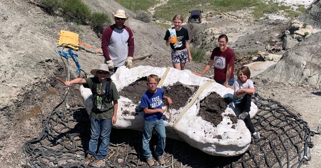Family Discovers Rare Tyrannosaurus Fossil In North Dakota