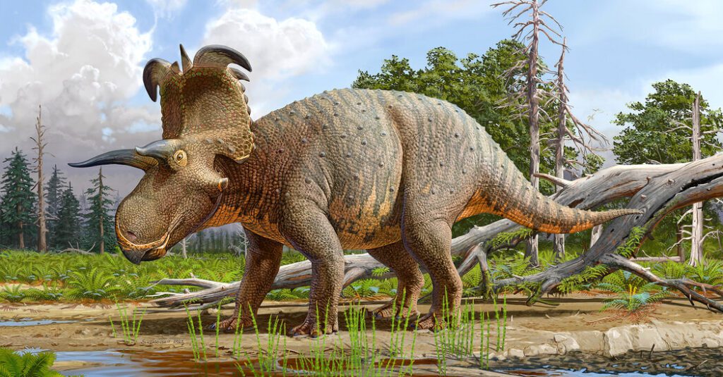 Lociceratops, The Horned Dinosaur, May Be A New Species