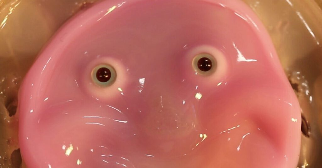 New Research Gives Robots Fleshy Faces (and Smiles)