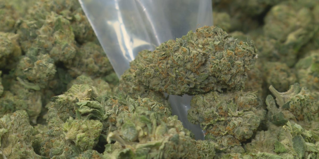 New Version Of North Carolina's Medical Marijuana Bill Would Ban