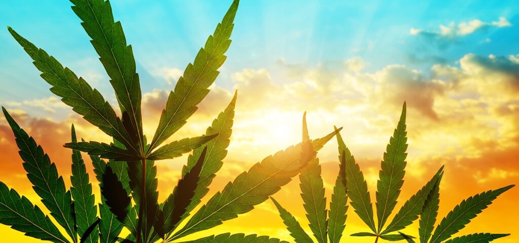 North Carolina Senate Gives Final Approval To Legalize Medical Marijuana
