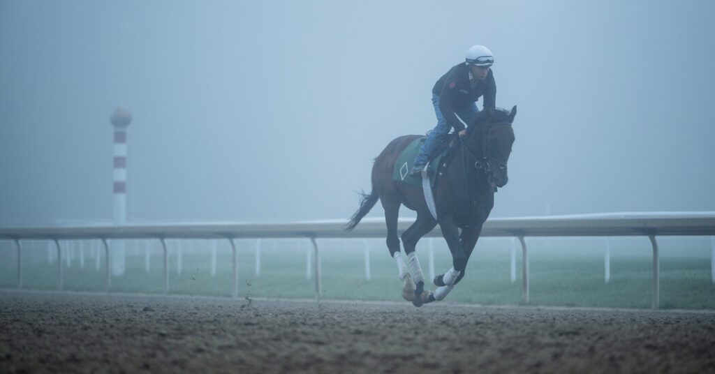 See inside photos from the 2024 Belmont Stakes See Inside Photos From The 2024 Belmont Stakes