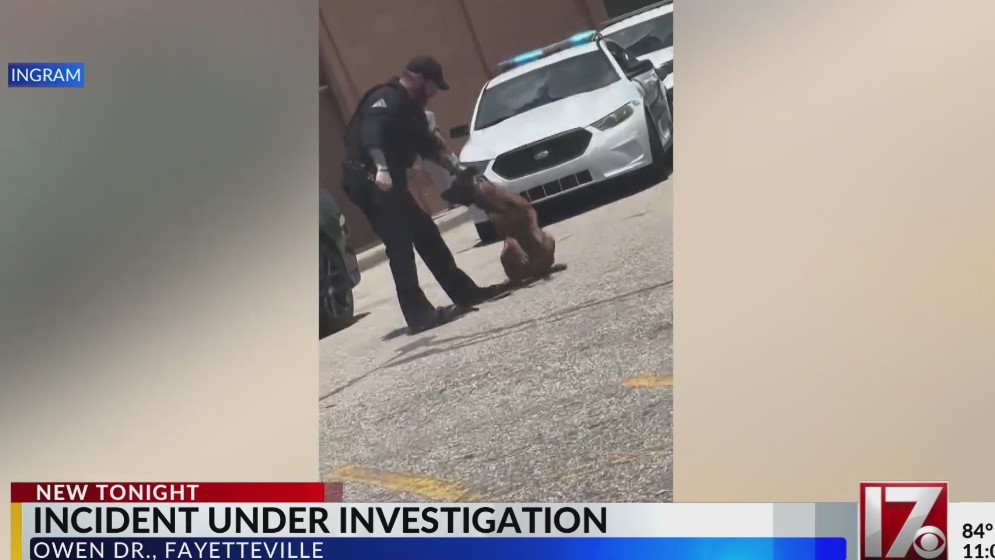 North Carolina police issue statement after video shows them beating a K-9 goes viral North Carolina Police Issue Statement After Video Shows Them Beating