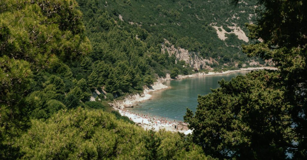 Albania backs Jared Kushner hotel plan as President Trump returns Albania Backs Jared Kushner Hotel Plan As President Trump Returns