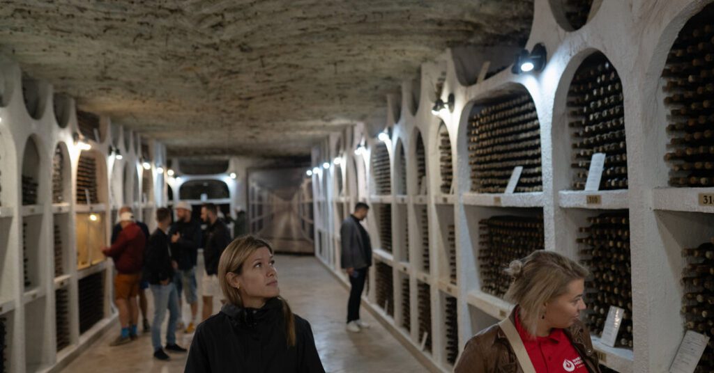 Putin Gets Snubbed In Former Soviet Union's Vast Wine Cellar