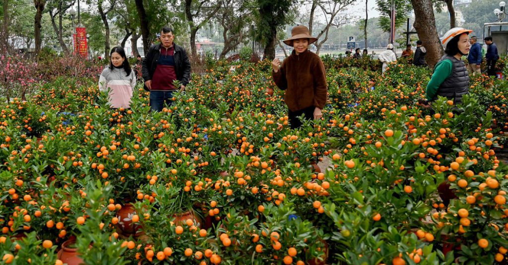 Typhoon Yagi Shouts The New Year's Tradition Of Vietnam