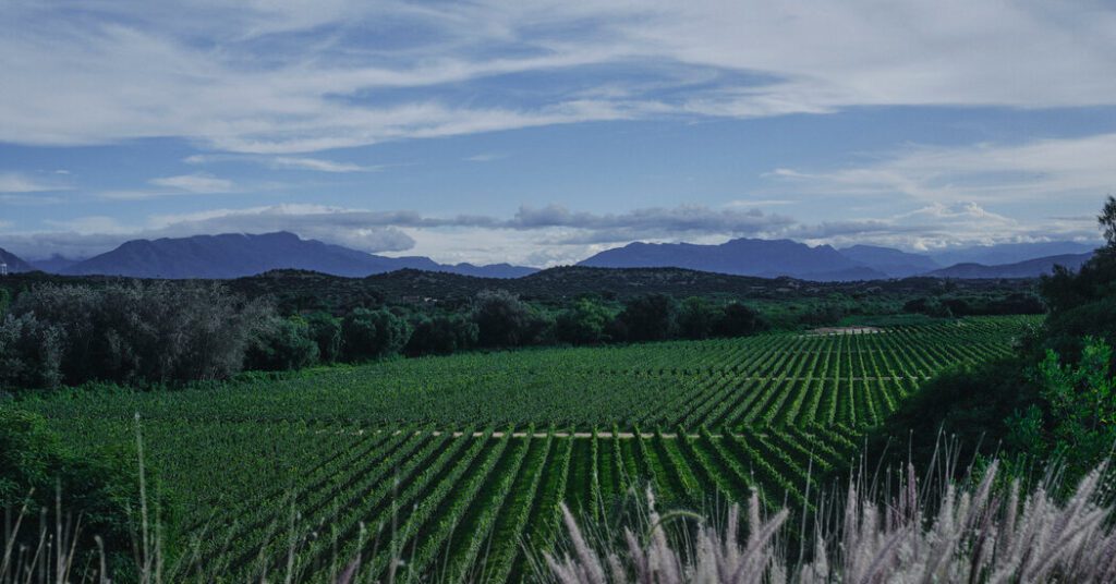 Bolivian Wine Country Is Tuscany On The Magic Side