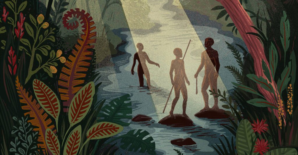 Early humans flourished in the rainforest Early Humans Flourished In The Rainforest