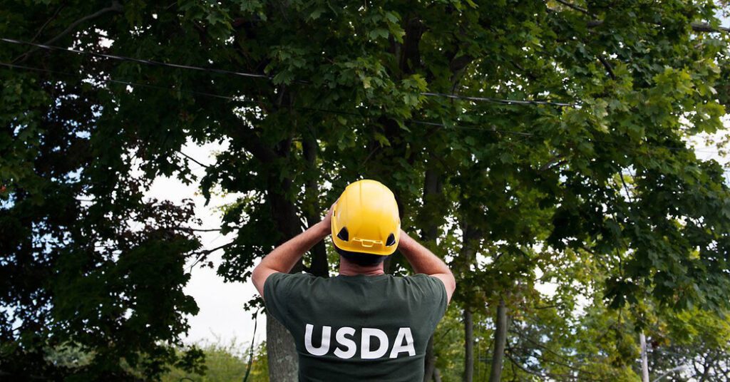 Large Federal Shootings Can Be At Risk For Pets, Cattle