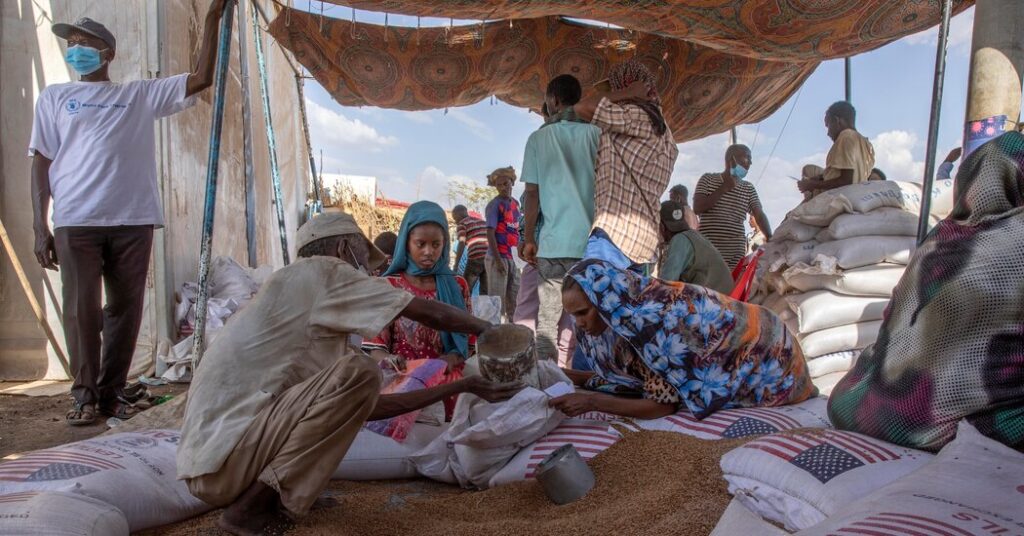 Playing cards and musk Playing Cards And Musk