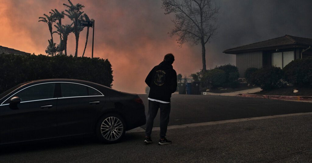 Seven steps that LA can take Gird for future mountain fire Seven Steps That La Can Take Gird For Future Mountain