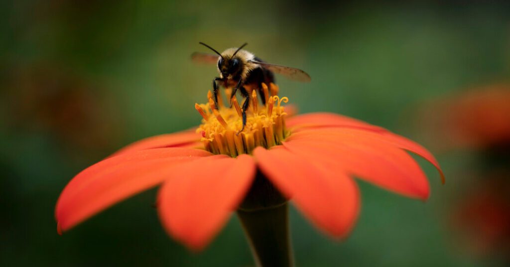 Trump Killed Major Reports About Nature. I'm Trying To Make