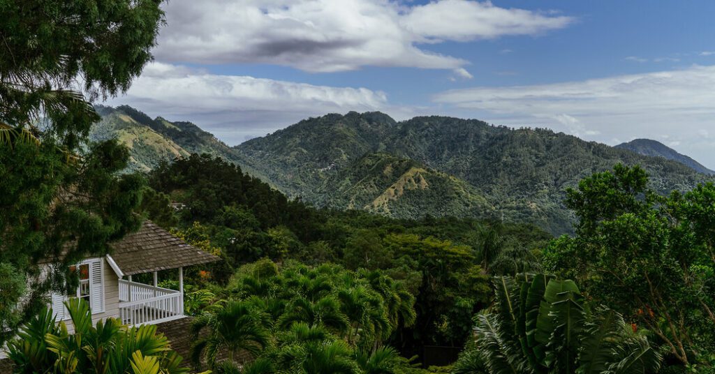 Where To Eat, Sleep And Shop In Kingston, Jamaica