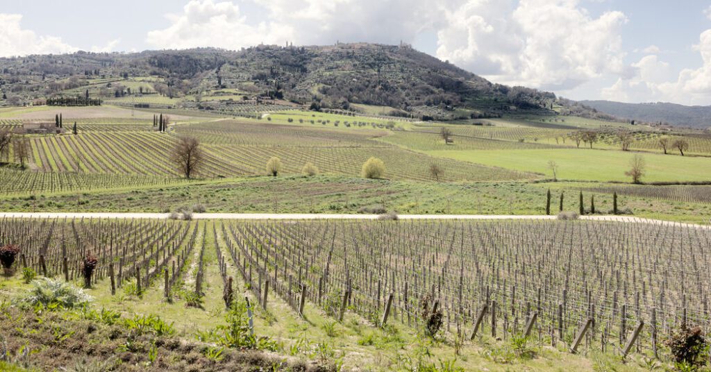 Chianti holds: tariff threat grounds italian bottles