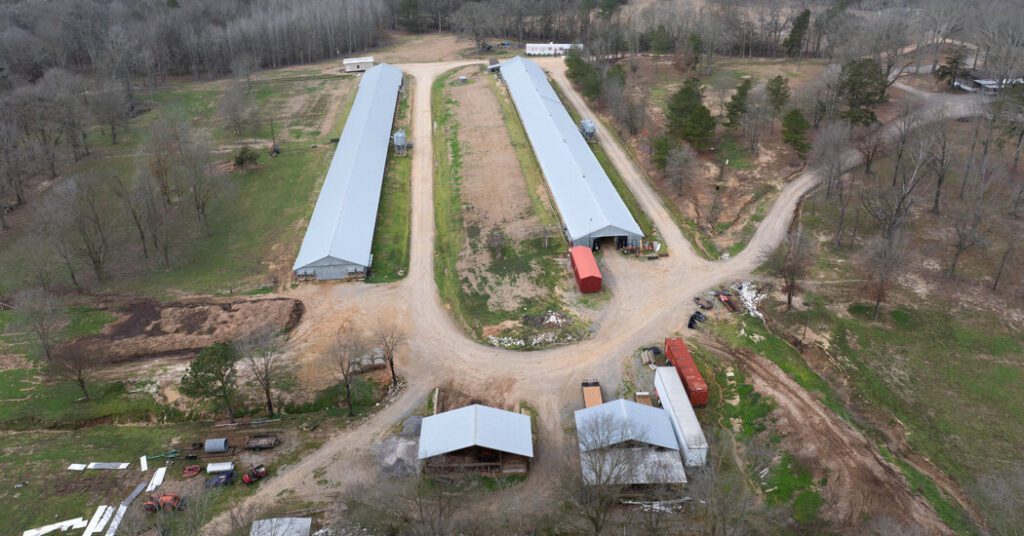 Mississippi Sheriffs will be investigated by state auditors Mississippi sheriffs will be investigated by state auditors