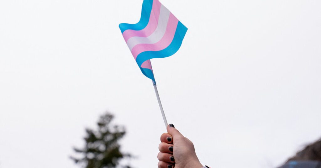 Quoting trump's orders, va stops most transgender care