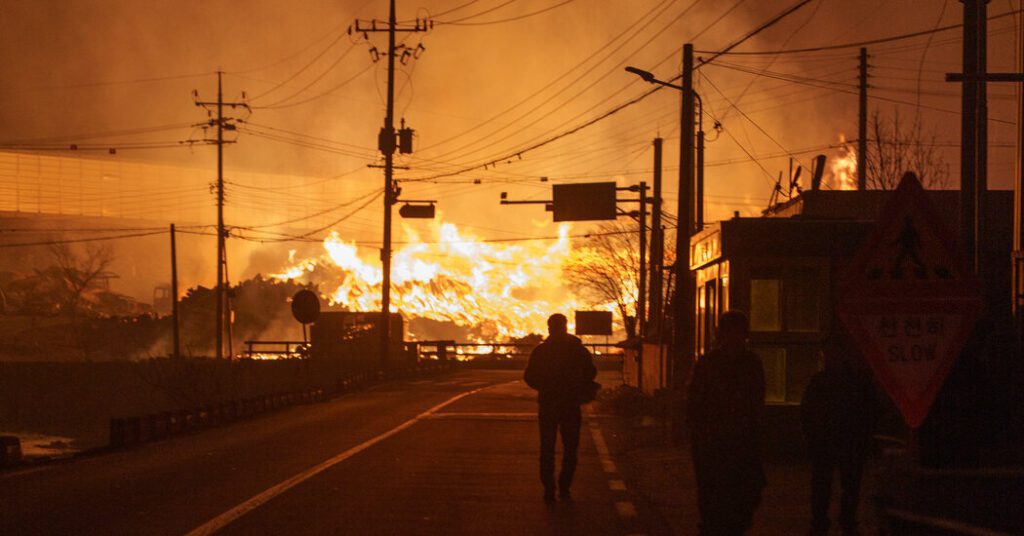 South korea fires at least 19 people