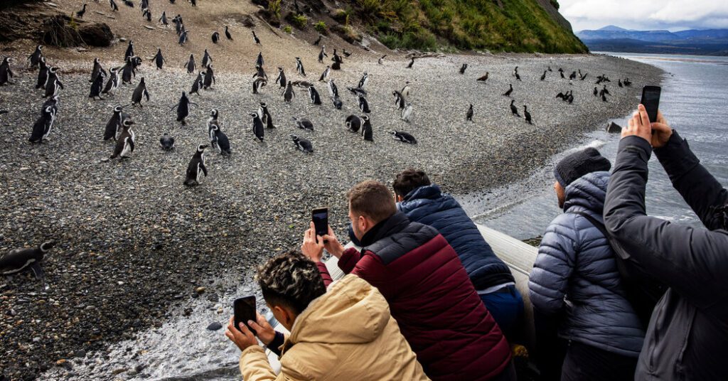 In argentina, the antarctic cruise boom is straining towards the