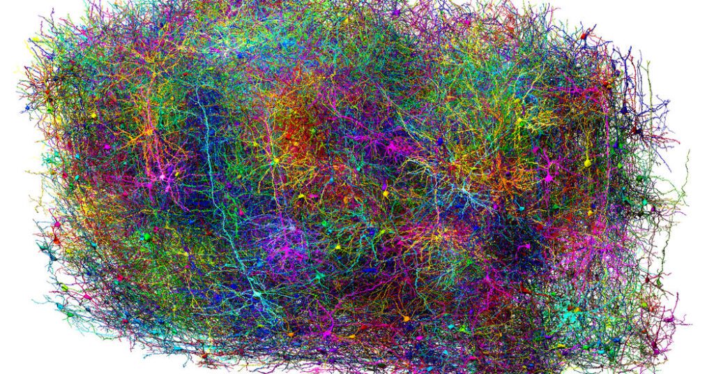 Scientists map miles of wires to spots in mouse brain Scientists map miles of wires to spots in mouse brain