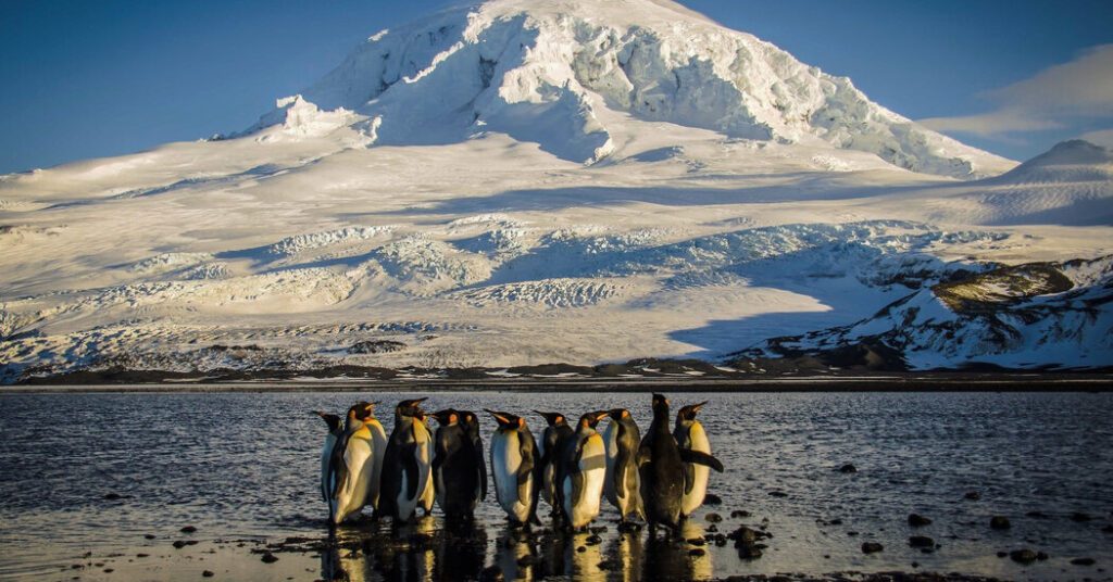Trump imposes tariffs on remote islands