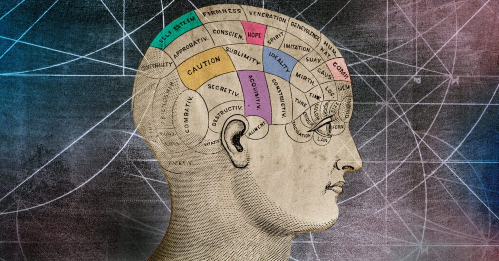 Two theories of consciousness were confronted. The ref took a be hit. Two theories of consciousness were confronted. the ref took a