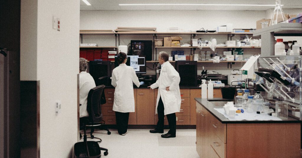 The world is begging american researchers who have been shunned