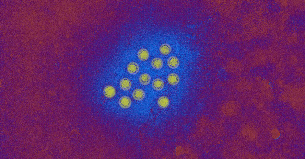 Things you need to know about the outbreak of hepatitis