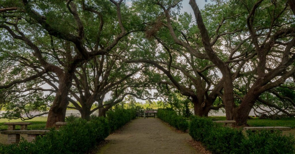 Trump's wishes aside, censoring racial history may prove difficult Trump's wishes aside, censoring racial history may prove difficult