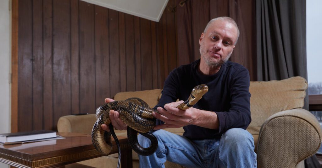 Universal anti vivenom may grow from someone who lets the snake
