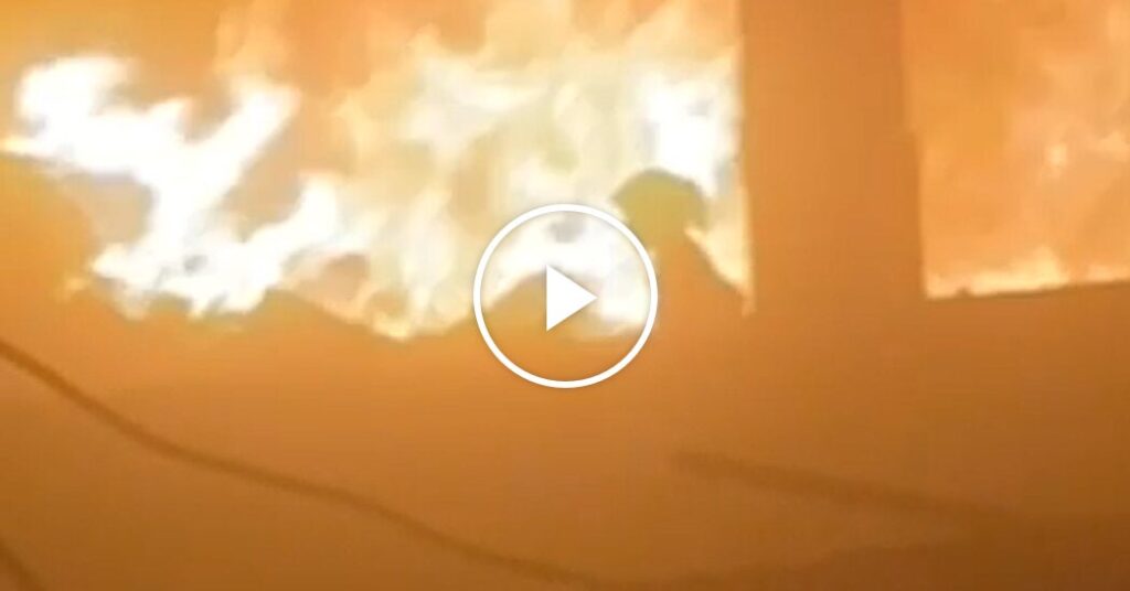 “Dear Girl, I'm off!”: Young Palestinians escape Israeli strike "dear girl, i'm off!": young palestinians escape israeli strike