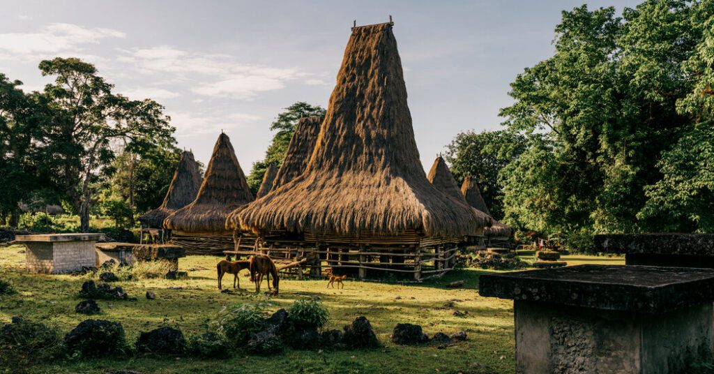 Sumba is twice the size of Bali and is not very large or crowded. Sumba is twice the size of bali and is not