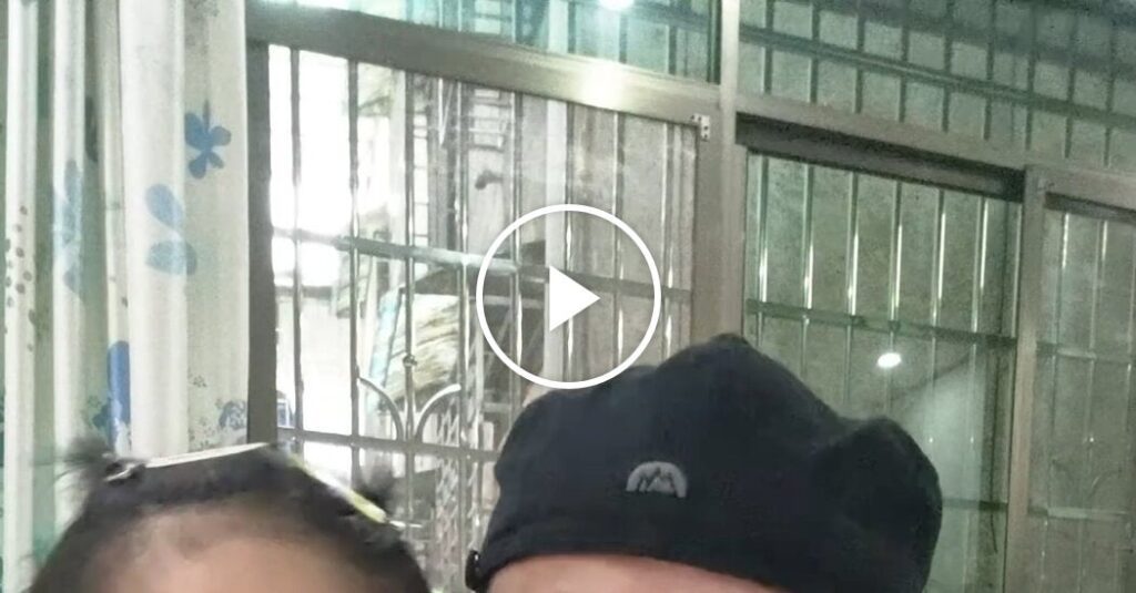 What Chinese parents see in AI toys What Chinese parents see in AI toys